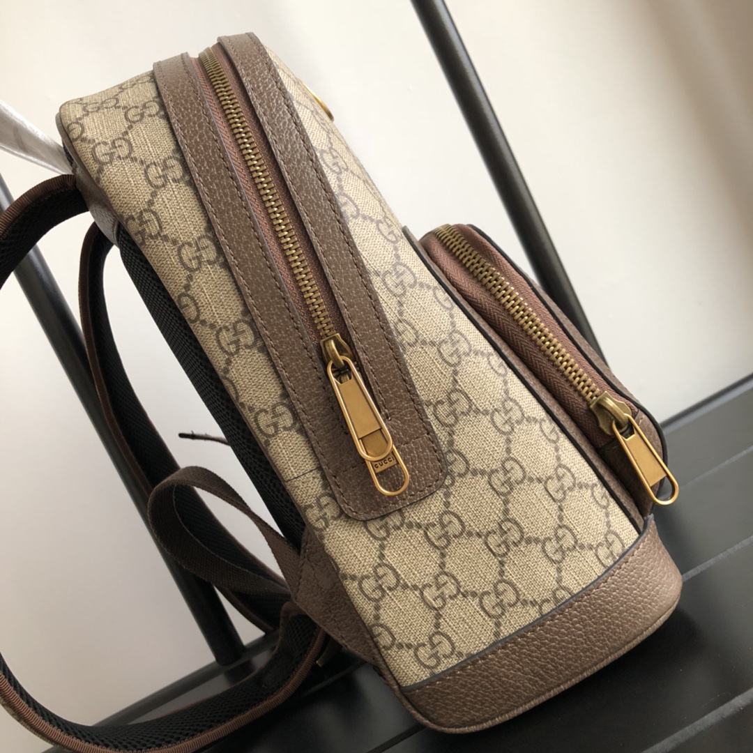Ophidia GG small backpack