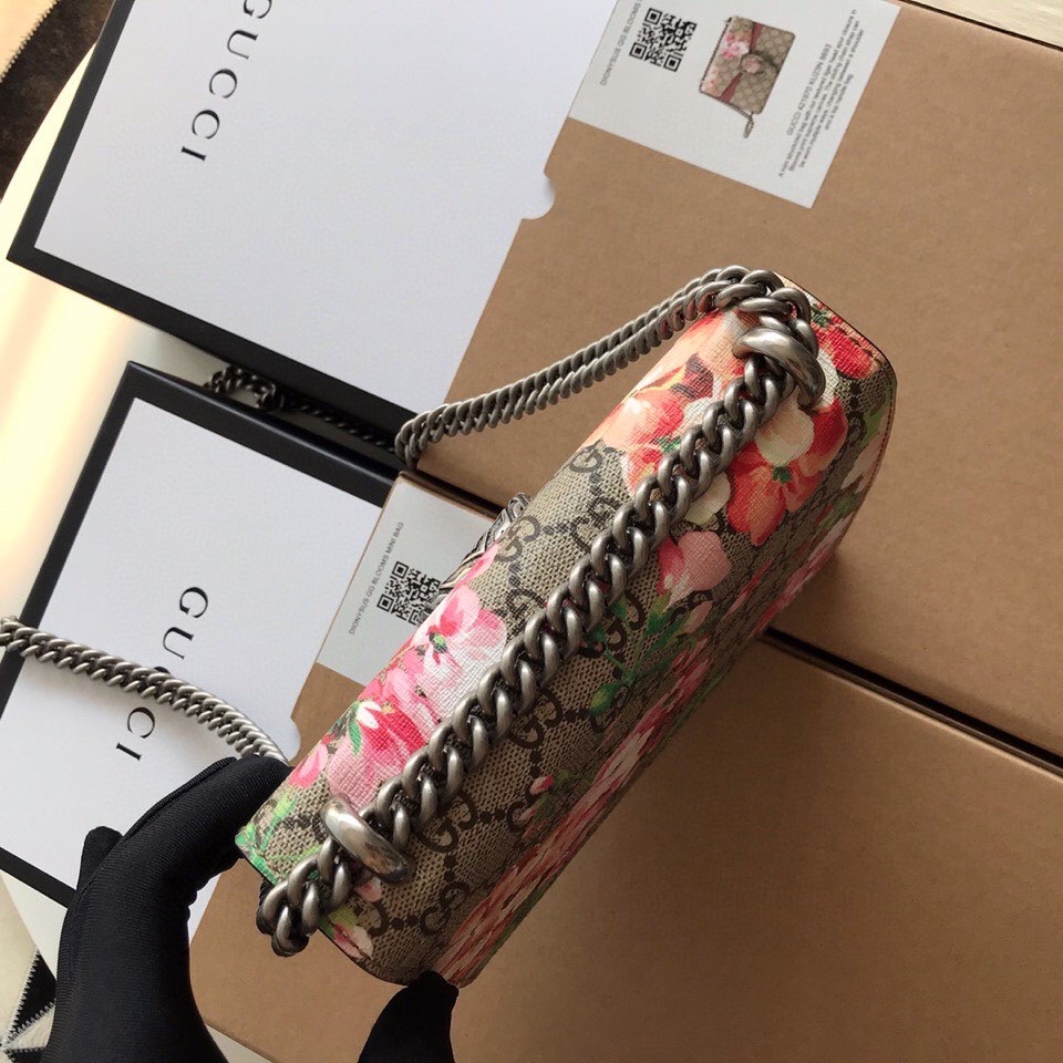 dionysus gg S*p*e mini bag