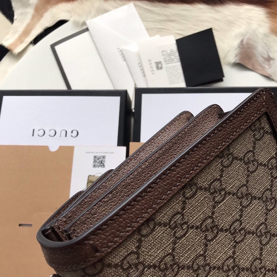 Dionysus GG top handle bag