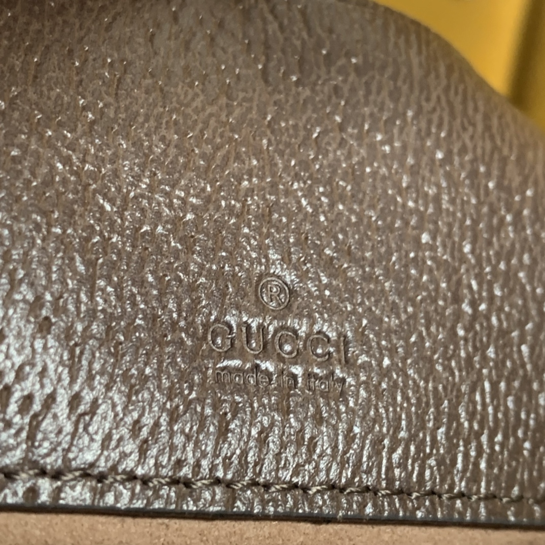 Ophidia GG mini bag
