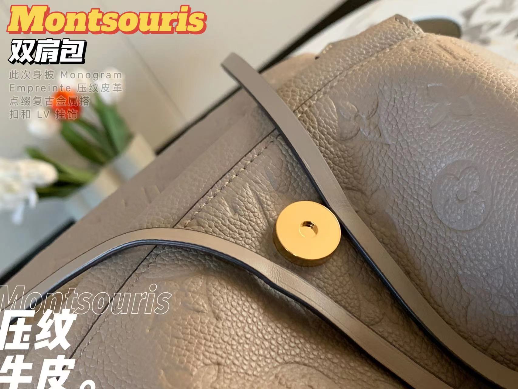 LV montsouris backpack–Top Quality Version