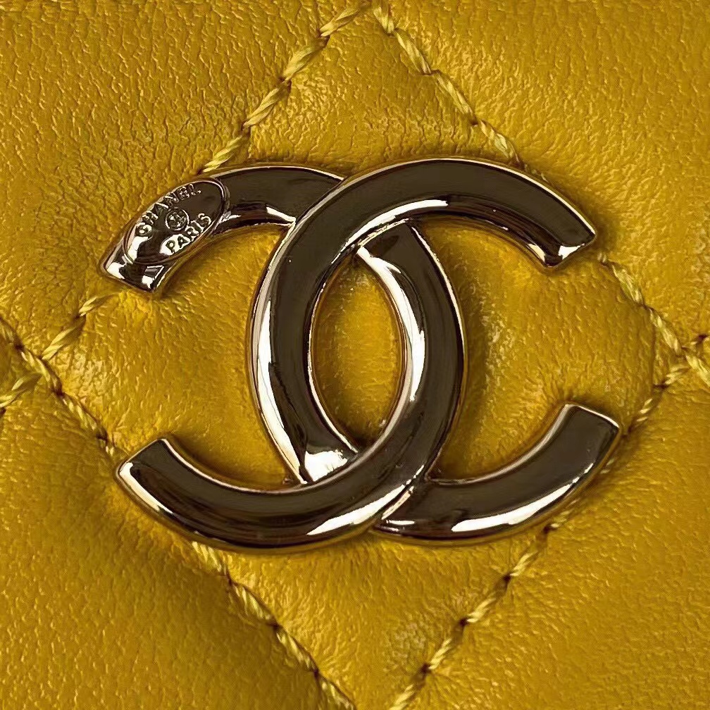 Ch*el cosmetic bag
