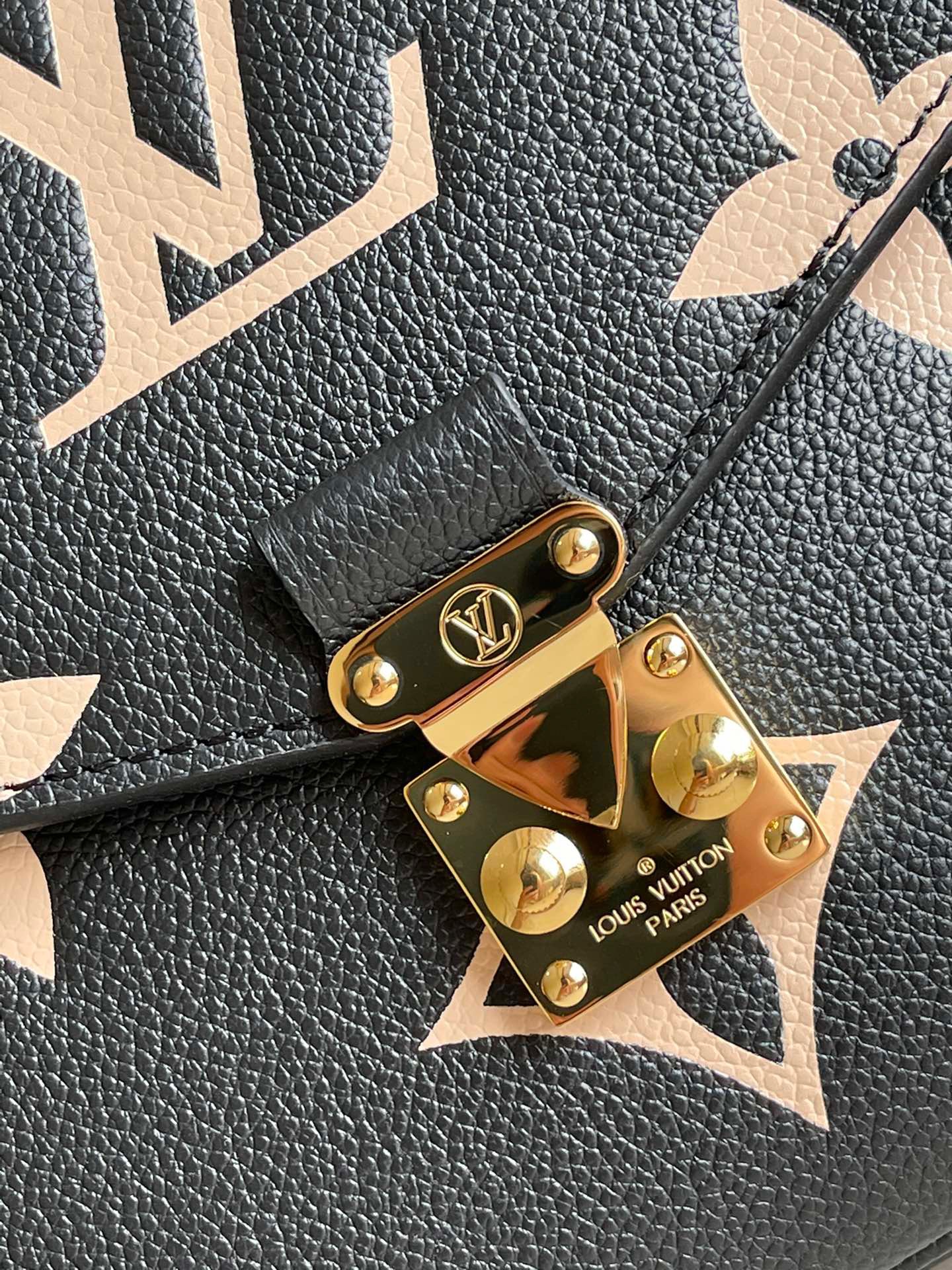 Pochette Metis